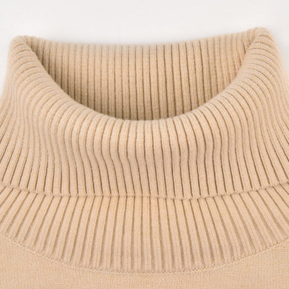 Kawaii Chinese Style Pattern Turtleneck Knitted Sweater